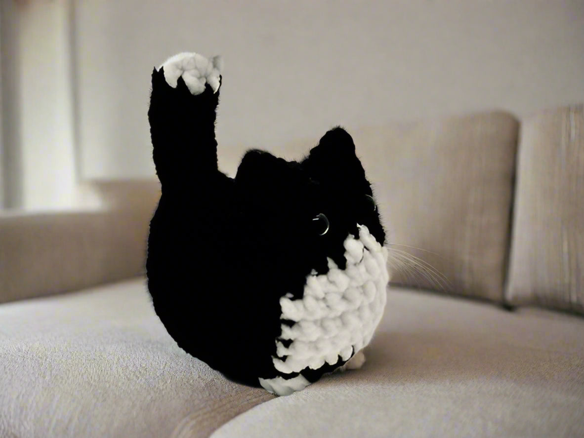 Tazzie the Cat