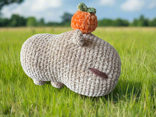Wilbur the Capybara