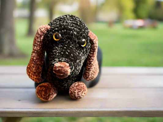Dory the Dachshund